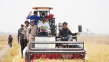Sawah Tadah Hujan di Sidrap Panen 6,4 Ton per Hektare Berkat Dukungan Sumur Bor. (foto:ist)
