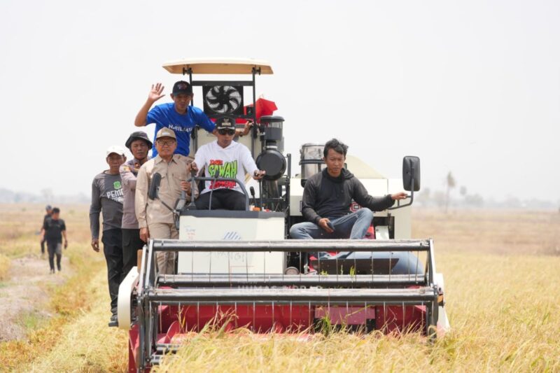 Sawah Tadah Hujan di Sidrap Panen 6,4 Ton per Hektare Berkat Dukungan Sumur Bor. (foto:ist)