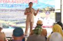 Bupati Sidenreng Rappang (Sidrap) Syaharuddin Alrif. (ist)