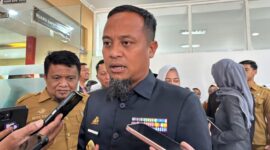 Gubernur Sulsel Andi Sudirman Sulaiman. (int)