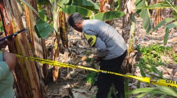 Benda Diduga Granat Ditemukan di Macanang Bone. (ist)
