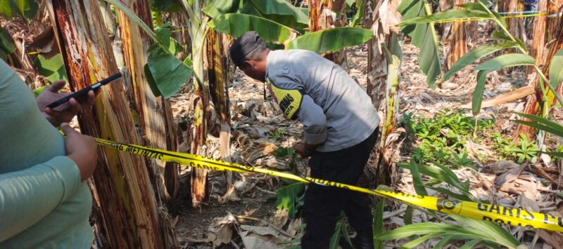 Benda Diduga Granat Ditemukan di Macanang Bone. (ist)