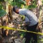 Benda Diduga Granat Ditemukan di Macanang Bone. (ist)