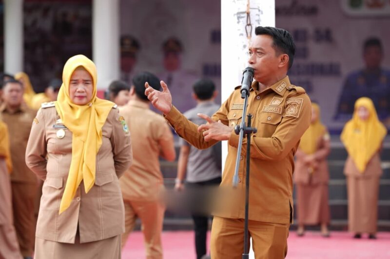 Bupati Sidrap, Syaharuddin Alrif. (int)