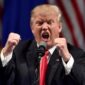 Presiden Amerika Serikat, Donald Trump. (int)